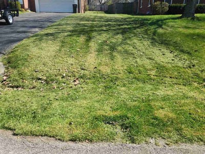 Lawn care service in Indianapolis, 46227