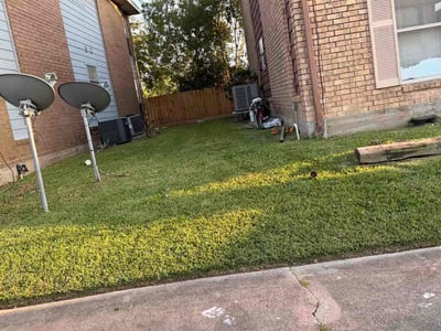 Lawn care service in Dickinson, 77539
