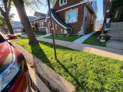 Lawn care service in Cicero, 60804