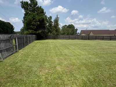 Lawn care service in Goose Creek, 29445