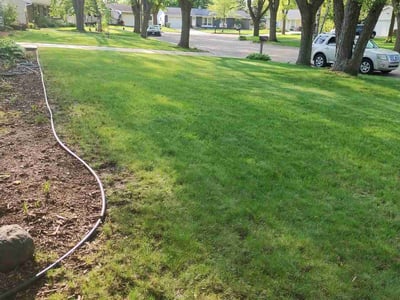 Lawn care service in Madison, 53716