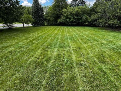 Lawn care service in New Lenox, 60451