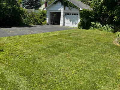 Lawn care service in Albany, 12208