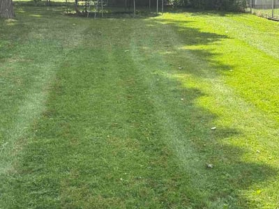 Lawn care service in Lansing, 48917