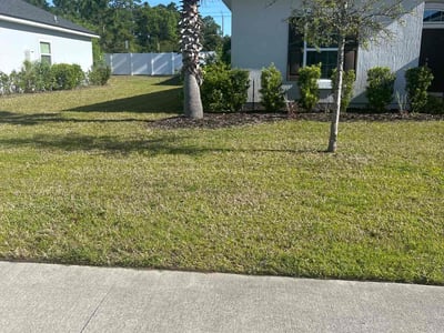 Lawn care service in Fernandina Beach, 32034