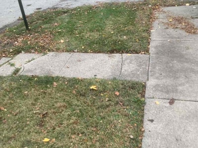 Lawn care service in , 