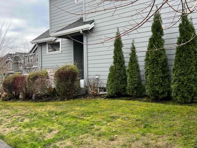 Lawn care service in , 