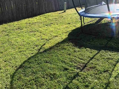 Lawn care service in Round Rock, 78664