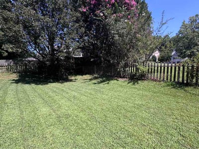 Lawn care service in Suwanee, 30024