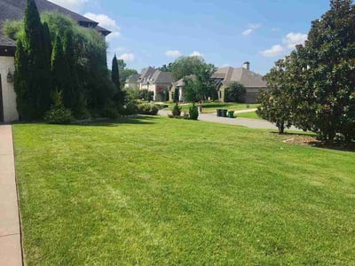 Lawn care service in Little Rock, 72223