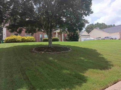 Lawn care service in Stockbridge, 30281