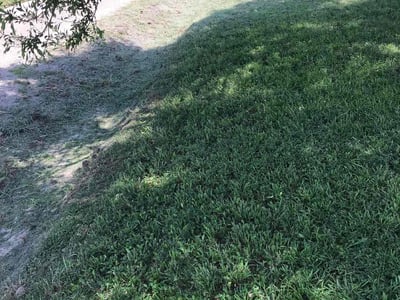 Lawn care service in Breaux Bridge, 70517