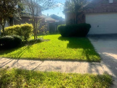 Lawn care service in Katy, 77494