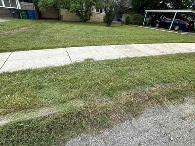 Lawn care service in San Antonio, 78212