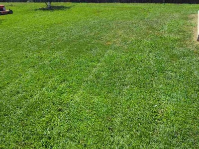 Lawn care service in Leander, 78641
