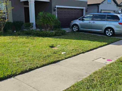 Lawn care service in Wesley Chapel, 33545
