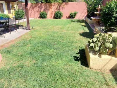 Lawn care service in Phoenix, 85021