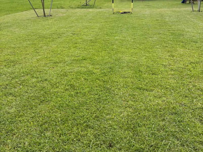 Lawn care service in Fort Pierce, 34981