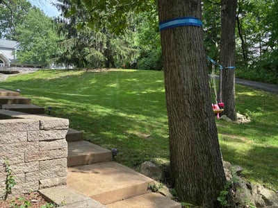 Lawn care service in Des Peres, 63131