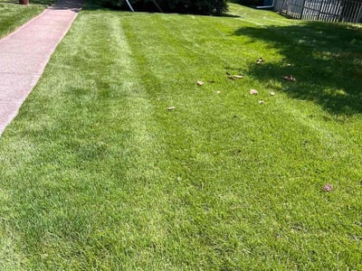 Lawn care service in McLean, 22101