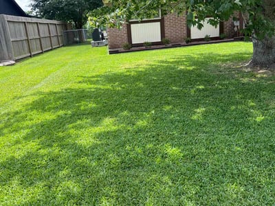 Lawn care service in Friendswood, 77546