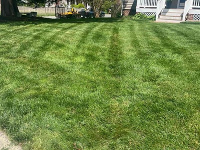 Lawn care service in Richmond, 23233
