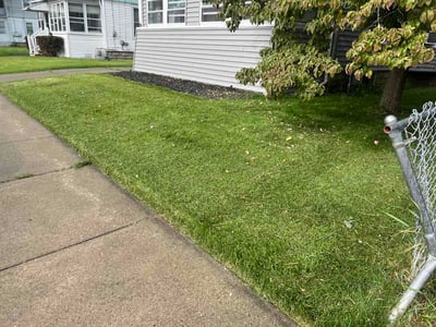 Lawn care service in Binghamton, 13904