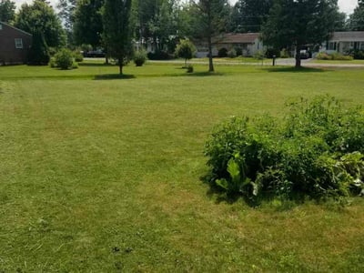 Lawn care service in Cicero, 13039