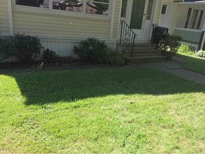 Lawn care service in Akron, 44301