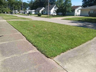 Lawn care service in Warren, 44485