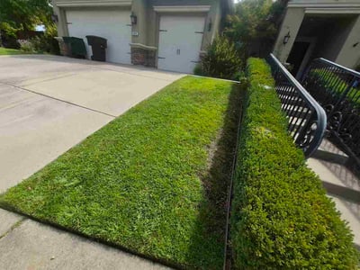 Lawn care service in Roseville, 95661