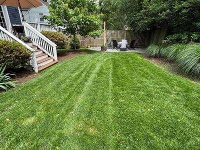Lawn care service in North Chevy Chase, 20815