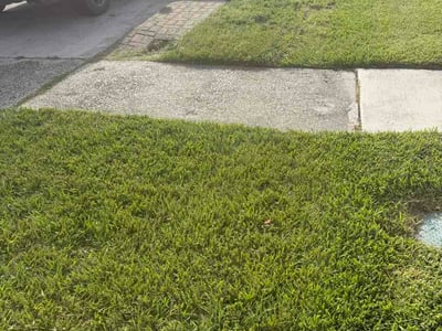 Lawn care service in Marrero, 70072