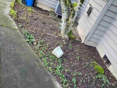 Lawn care service in Vancouver, 98685