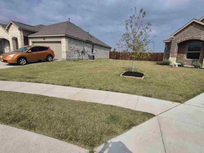 Lawn care service in Rockwall, 75087