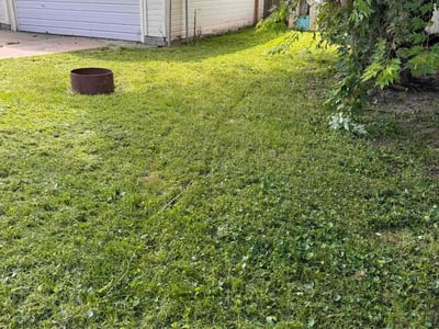 Lawn care service in Council Bluffs, 51501