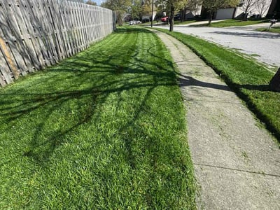 Lawn care service in Lexington, 40511