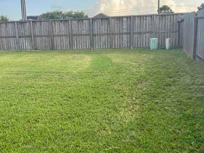 Lawn care service in Katy, 77493