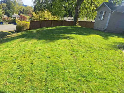Lawn care service in Lake Forest Park, 98155