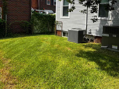 Lawn care service in Portsmouth, 23704