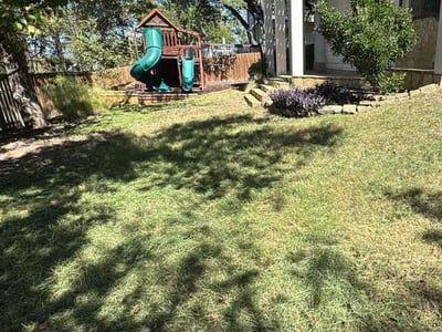 Lawn care service in Austin, 78746