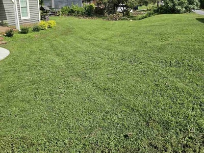 Lawn care service in Marietta, 30066