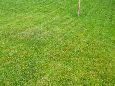 Lawn care service in Jackson, 49202
