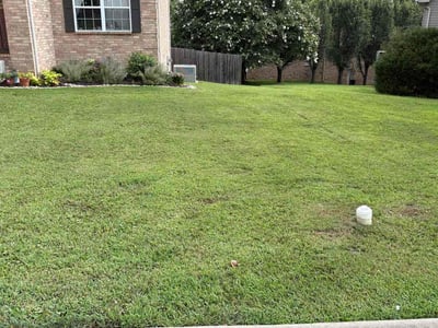 Lawn care service in Hendersonville, 37075