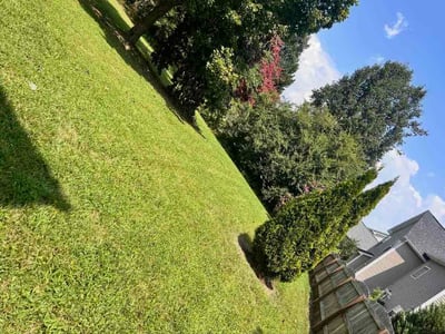 Lawn care service in Indian Trail, 28079