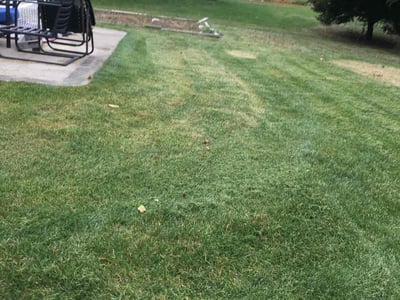 Lawn care service in Franklin, 53132