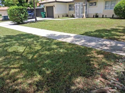 Lawn care service in Miami, 33177