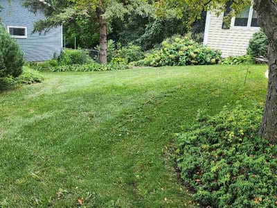 Lawn care service in Rochester, 55902