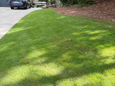 Lawn care service in Roswell, 30075