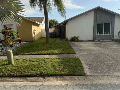 Lawn care service in Tampa, 33624